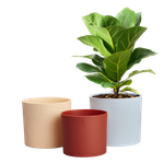 lex pott set 14cm sky blue